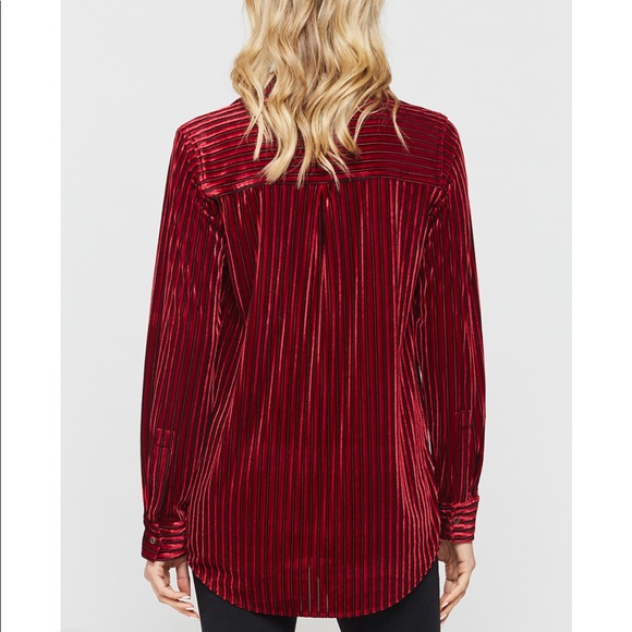 Velvet Pinstripe Blouse 🧯 - Picture 3 of 8